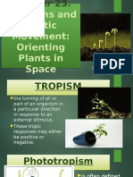 Plants Orient in Space Through Tropisms and Nastic Movements