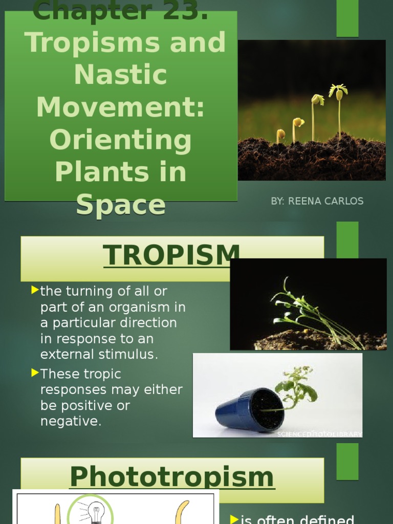 Orienting Plants in Space How Tropisms and Nastic Movements Allow Plants to Respond and Adapt
