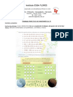 Trabajo Práctico de Matemática 7º