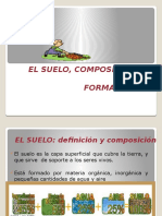 El Suelo, Composición Y Formación