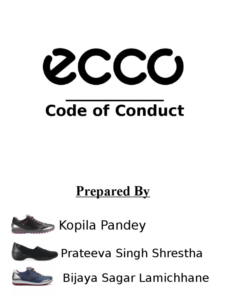 Ecco Code of Conduct PPT - Bizz Lamichhane - de Montfort University ...