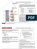 Clase Tiroides y Glandula Suprarenal