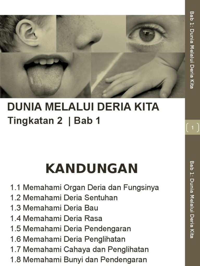 Bab 1 - Dunia Melalui Deria Kita - Nota  PDF