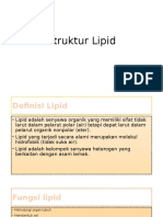 Struktur Lipid