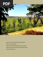 Águas Emendadas, Resenha e Artigo