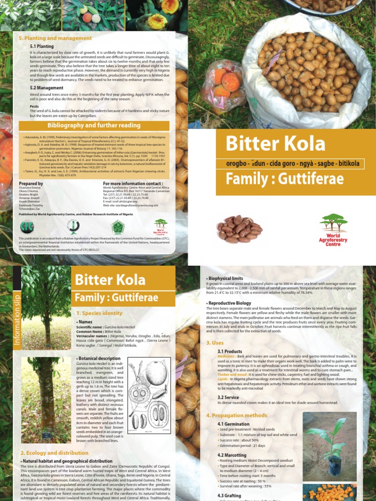 Bitter Kola Trees Seed