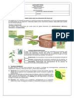 Guia Grado 7 Biologia Tejidos Vegetales