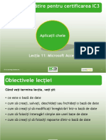 IC3 Lecția 11 - Microsoft Access - Cu Ex