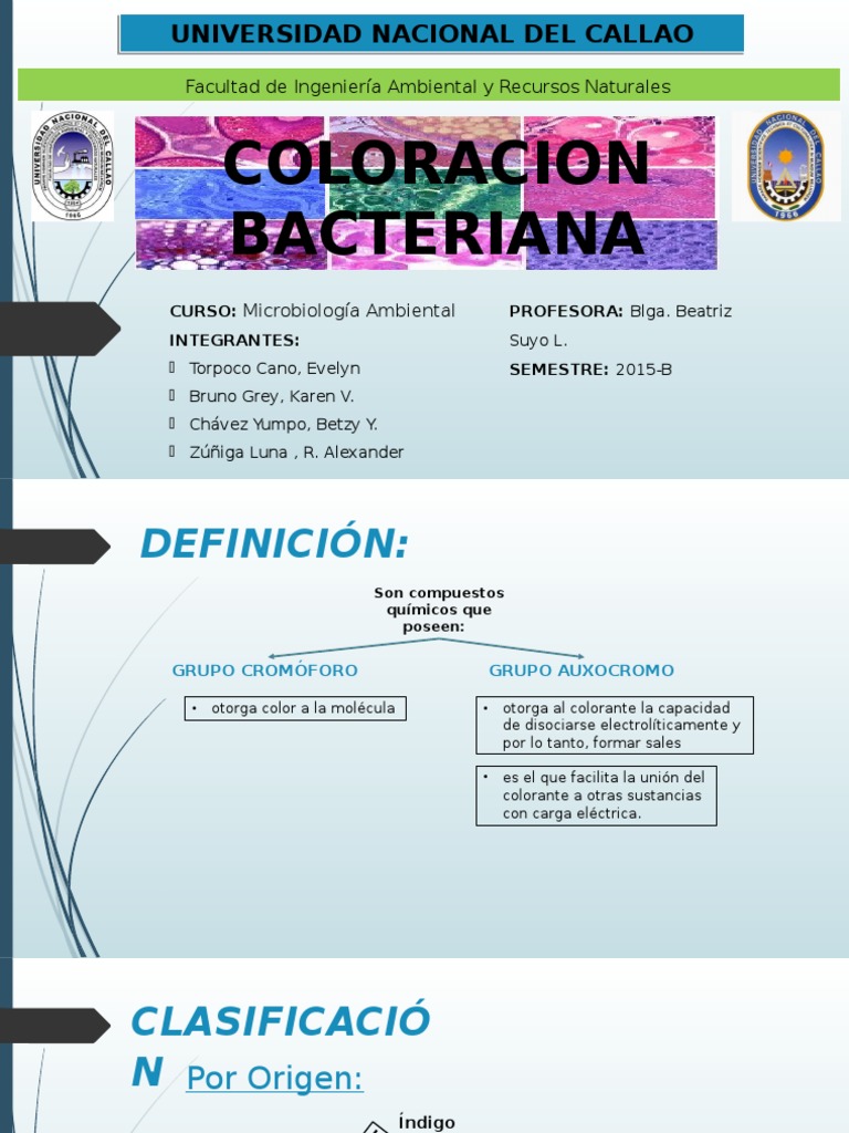 Coloración Bacteriana en Microbiología | PDF | Tinción | Mycobacterium