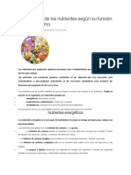 Clasificación de Los Nutrientes Según Su Función en El Organismo