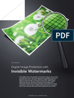 Digital Watermarks