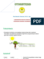 Fotosintesis PDF