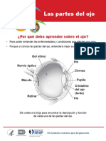 Partes del ojo.pdf