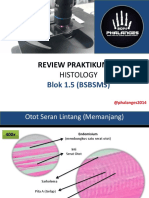 Review Praktikum Histology Bsbsms 4