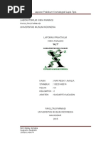 Download Laporan 4 Analisis Kualitatif Klt by Wiri Resky Amalia SN307609572 doc pdf