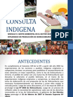 Consulta y Participacion para Proyectos Hidrocarburiferos en Bolivia