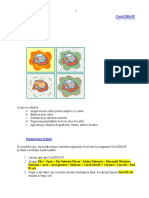 CorelDraw - CursPractic - Pictarea'