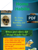 Homo Habilis: By: Pang, Divyesh, Harshita, and Kenji