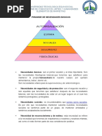 Piramide de Necesidades Basicas