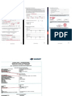 Formatos Ruc y Formato a Desarrolado