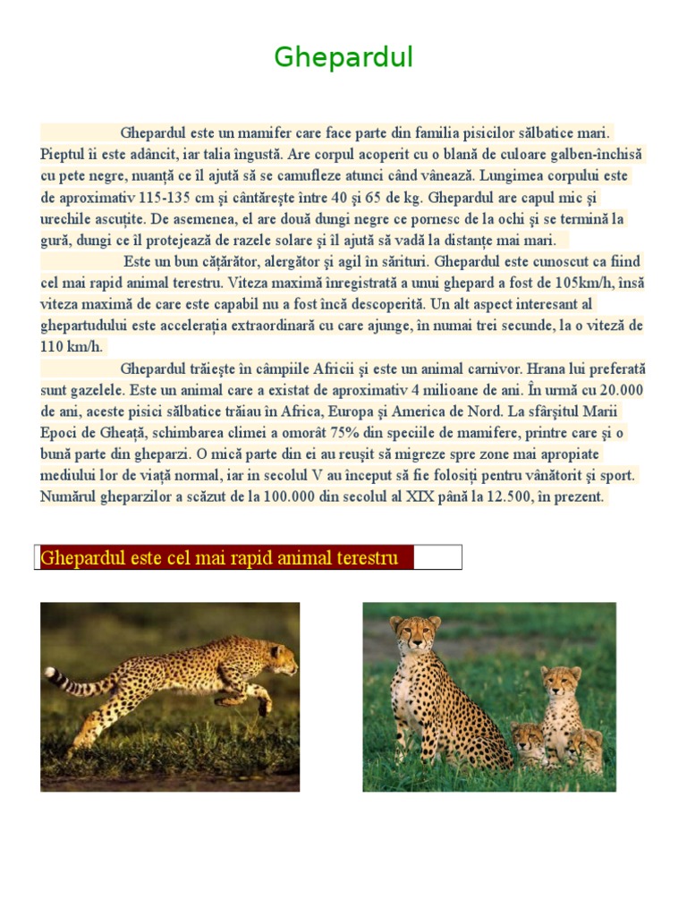Ghepardul | PDF
