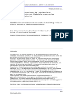 Detección de Mecanismos de Resistencia en Ailamientos Clínicos de Klebsiella Pneumoniae Multidrogorresistentes