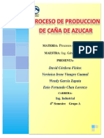 Proceso de Produccion de Caña de Azucar