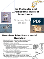 The Molecular and Chromosomal Basis of Inheritance: 30 January 2014 ISB 202