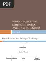 Periodization For Strength, SA&Q