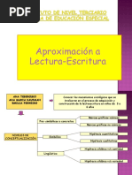 Lectoescritura Niveles