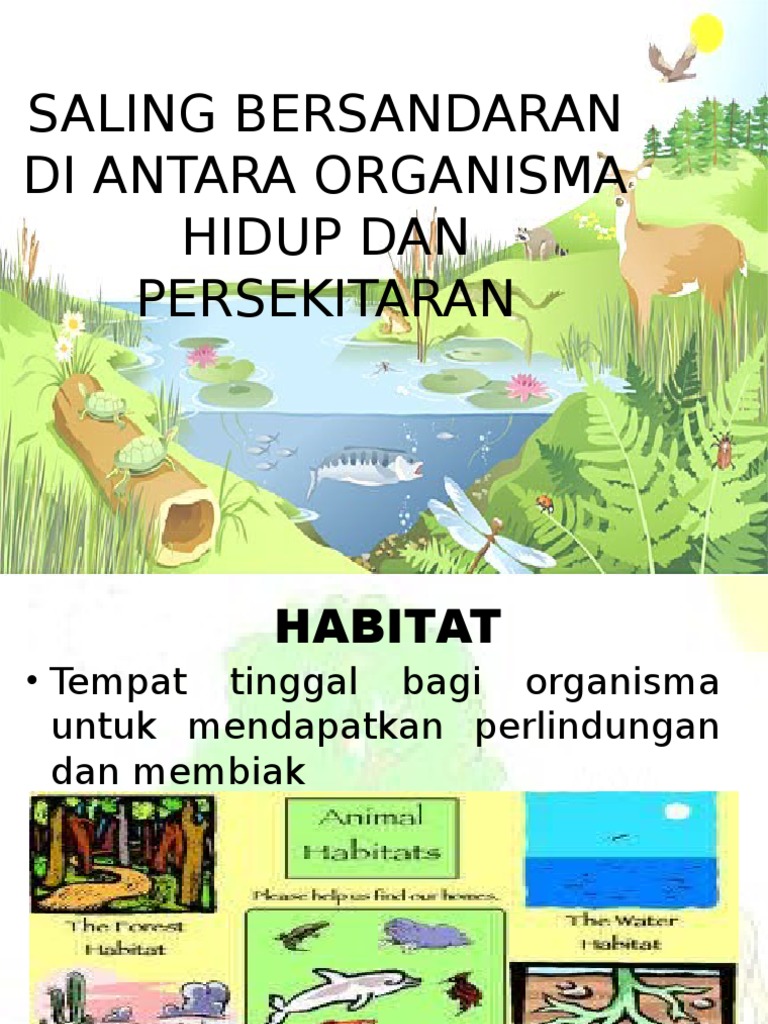 Saling Bersandaran Di Antara Organisma Hidup Dan Persekitaran Pdf