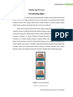 Gunung API Divergent (Pertemuan 1 & 2)