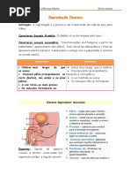 Reprodução Humana - 6ºano
