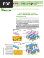 bacteria gram negativa e positiva