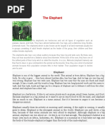 Download The Elephant by ria resti yunita SN307901275 doc pdf