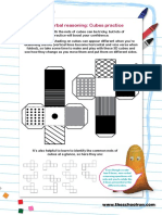 Non-Verbal Reasoning Cubes Practice 0