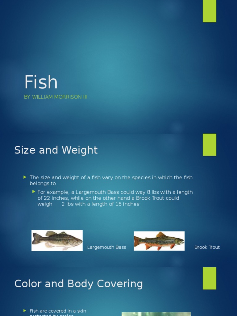 Fish Species: Size, Habitat, and Reproduction | PDF | Home & Garden