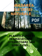 Degradarea Vegetatiei Naturale