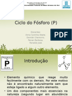 Ciclo Do Fósforo (Powerpoint)