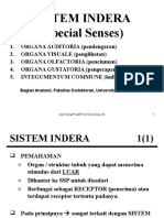 Sistem Indera