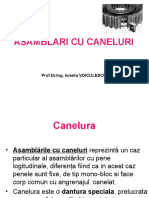 Asamblari Cu Caneluri