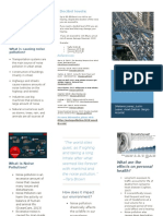 Noise Pollution Brochure