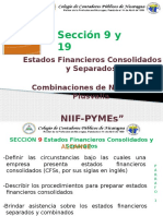 Sección 9 y 19 Niif Pyme