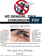 Palestra Aedes Aegypti 