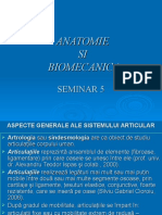 Seminar 5 Anatomie