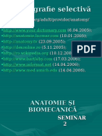 Seminar 2. Anatomie