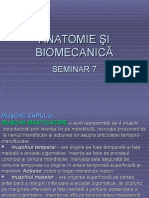 Seminar 7 Anatomie