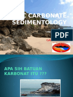 intoduction of carbonate sedimentology by GRI.pptx