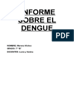 Informe Sobre El Dengue 