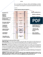 Espectro electromagnético: características y zonas de la luz